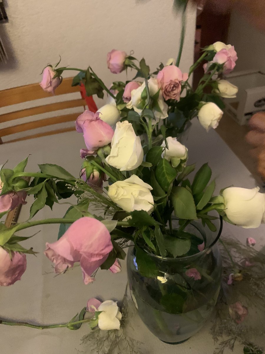 ashleymaa's tweet photo. @lolaflora_mx Asi las flores al día de recibirlas https://t.co/O5VZstHC6u