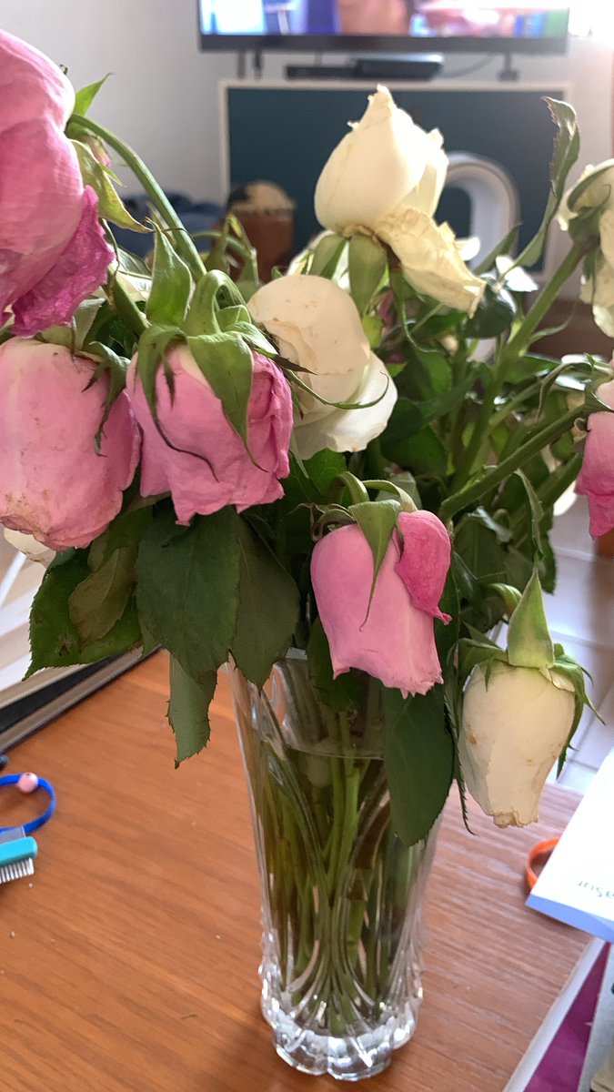ashleymaa's tweet photo. @lolaflora_mx Asi las flores al día de recibirlas https://t.co/O5VZstHC6u