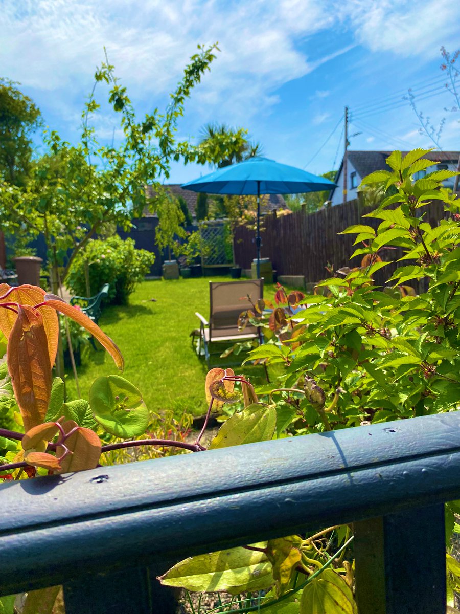 Kerrie Fletcher tweet media