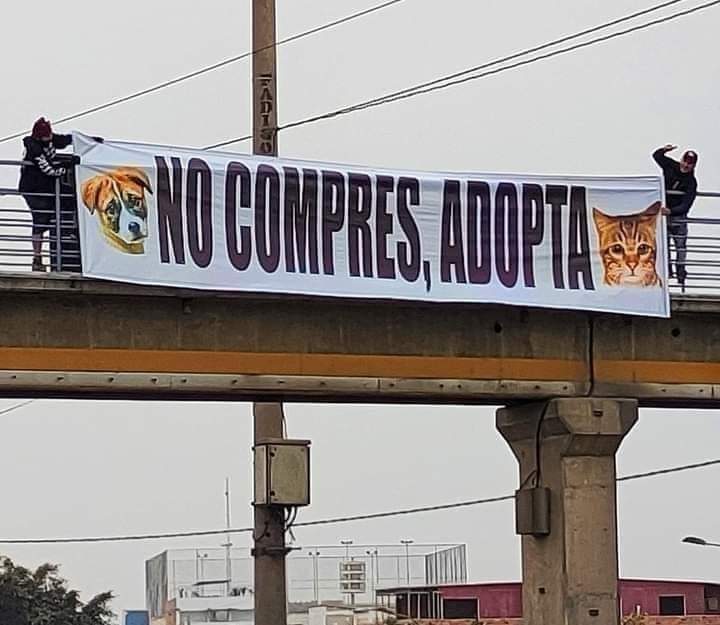 GRamirezF_D12's tweet photo. Deberíamos de poner un cartel así en Todos los puentes del Mundo.!. 👏🎗️🐾💞❤️

#Adopta https://t.co/1uxwyOuM8K