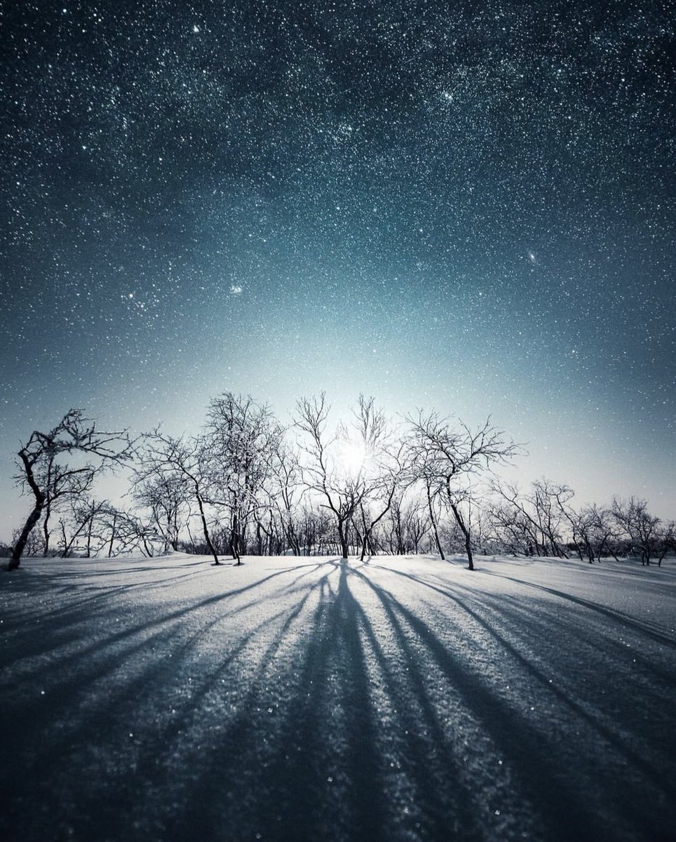 Night skies over Finnish Lapland ✨