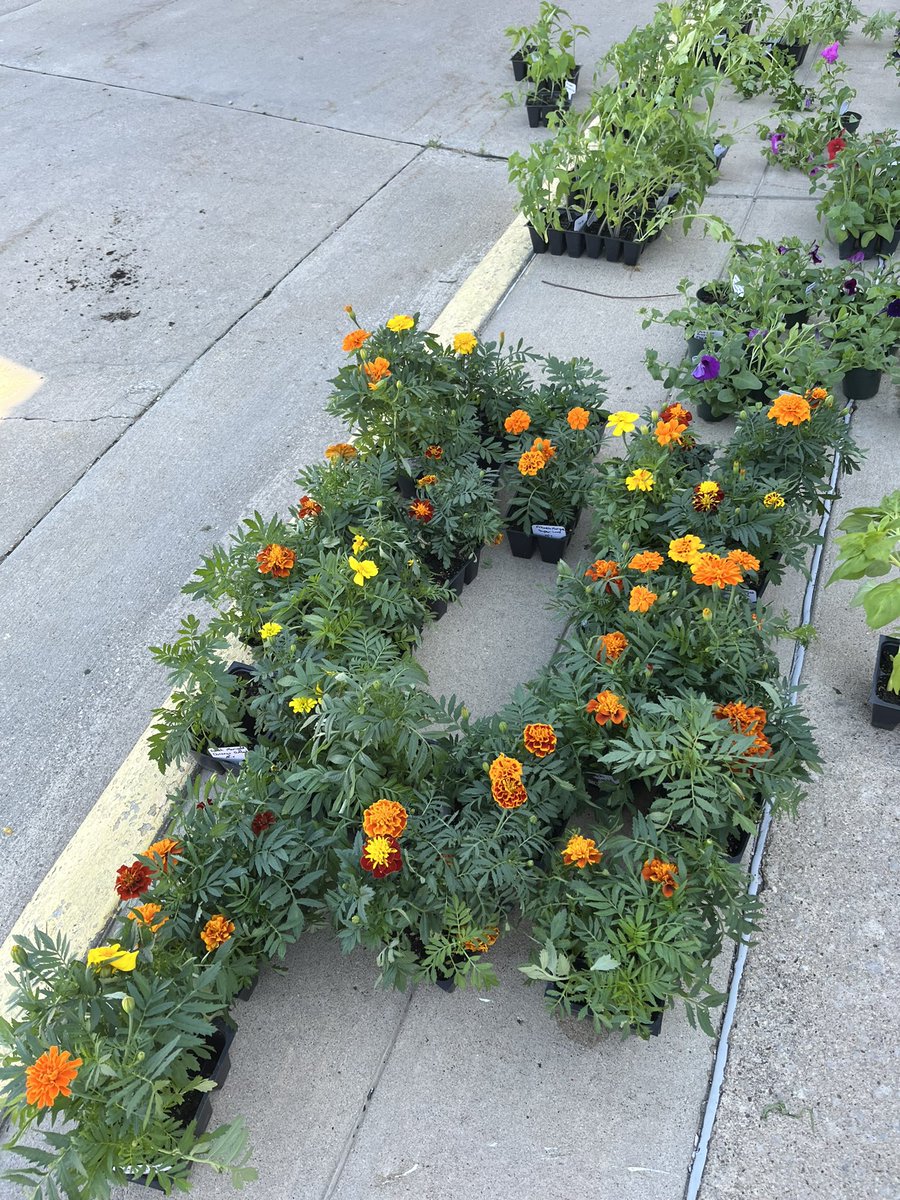 Atlantic FFA tweet media