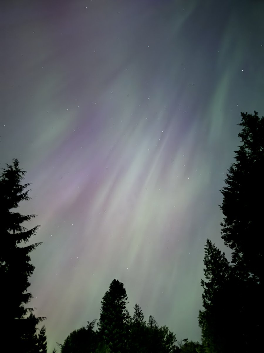 MatthewTNguyen's tweet photo. @ProfBrianCox From #seattle #washington area over on #hoodcanal ! https://t.co/BfexIMHTxS