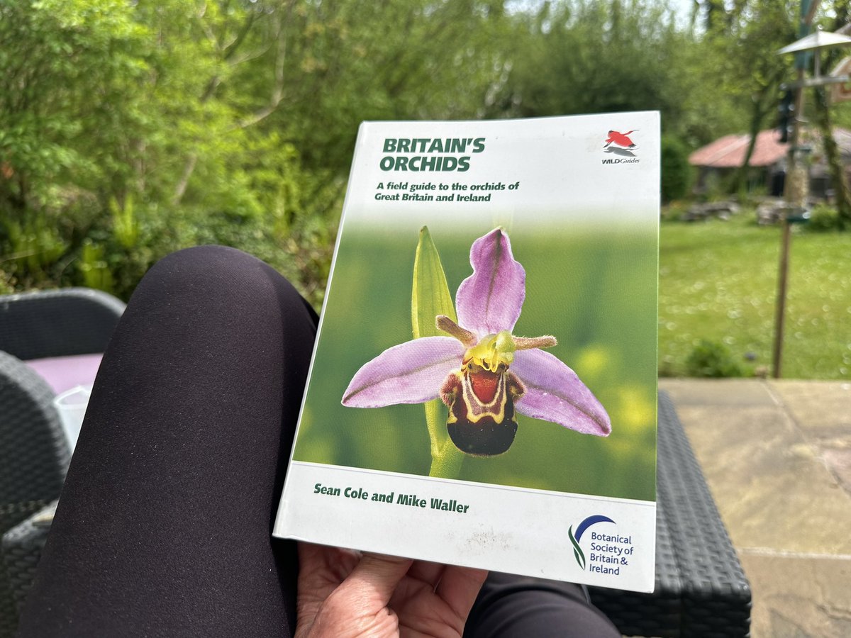 Mighty glad I’ve got this fab @WILDGuidesBooks @PrincetonNature book…. Have a feeling I’m going to need it over the next few months! #GwylltHollow #orchids @WTSWW