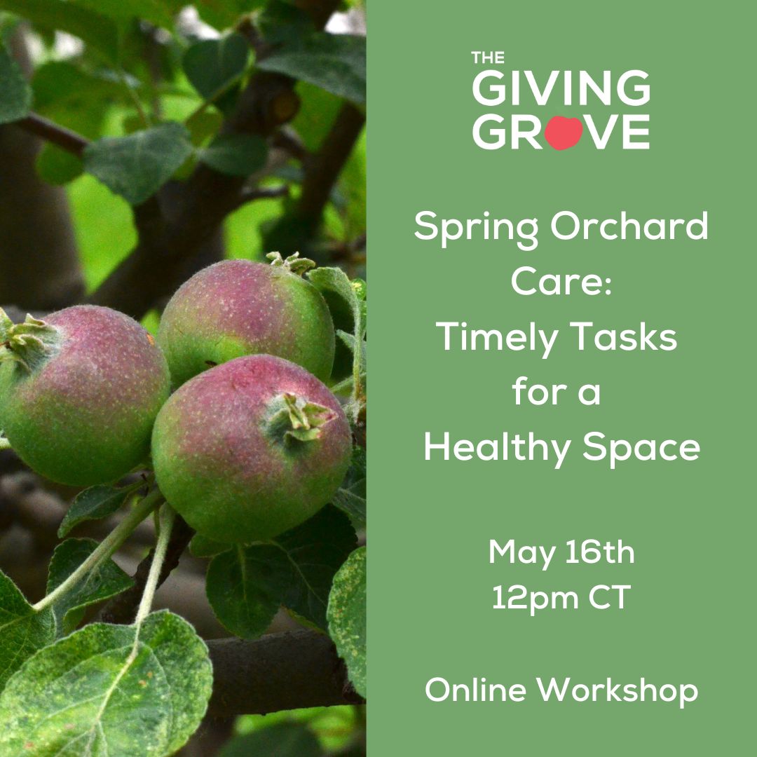 🌳 Our friends at the are having a free virtual class next week! 🍎 Spring Orchard Care: Timely Tasks for a Healthy Space Thursday, May 16, 12:00 pm CT ☑️ Sign up ~> buff.ly/3UB7mey