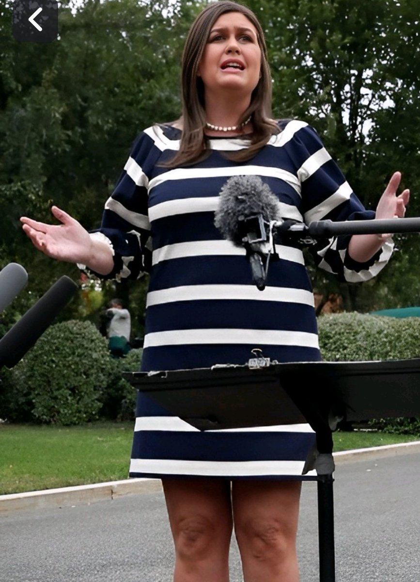 Gov Sarah Huckabee Sanders wore a prison stripes dress to show support for the Little Rock activists who gathered on Friday to voice frustration with her lack of action to reduce violent crime in the city's neighborhoods.