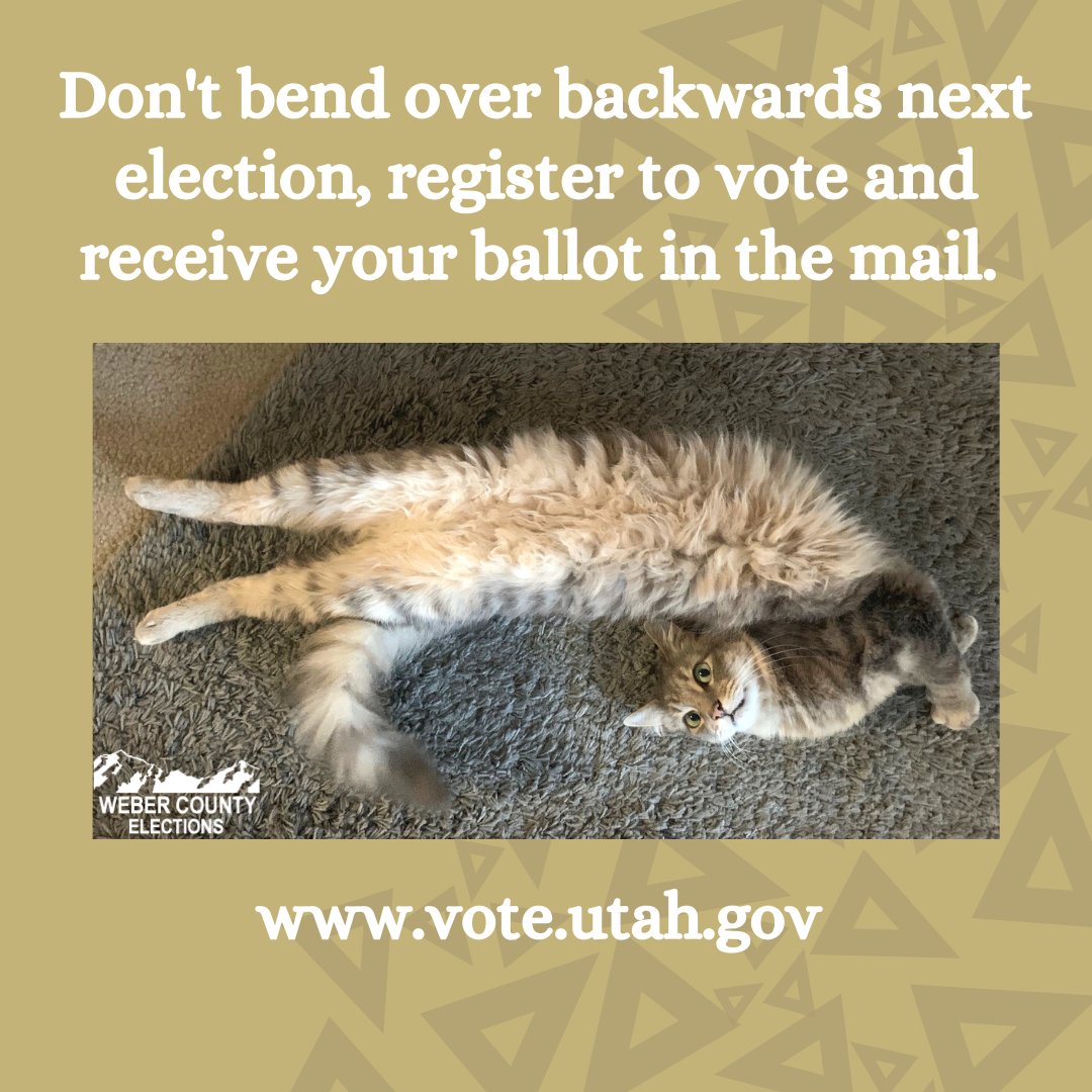 Happy Caturday! Make sure you don't have to bend over backwards next election; register to vote and receive your ballot in the mail! vote.utah.gov #weberelections #utahvotesbymail #caturday #catsofpolisci #webercounty #utahelections #electionsutah #votebymail