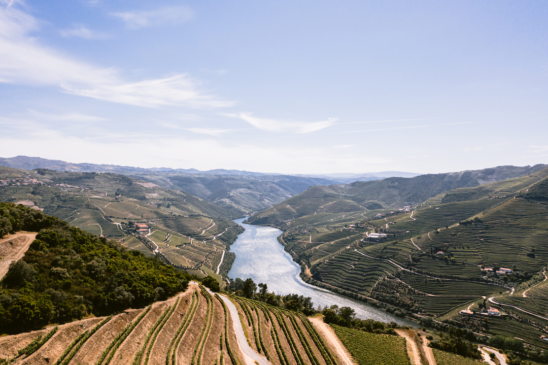 🍇 Explore as paisagens das vinhas do Douro este domingo! 🍷

🌿 Testemunhe a autenticidade das vinhas que se estendem ao longo das encostas do Rio Douro. Não há filtros ou retoques artificiais - apenas a natureza

#Douro #Vinhas #Natureza #PortWine #DrinkPort #vinho #wine #Porto