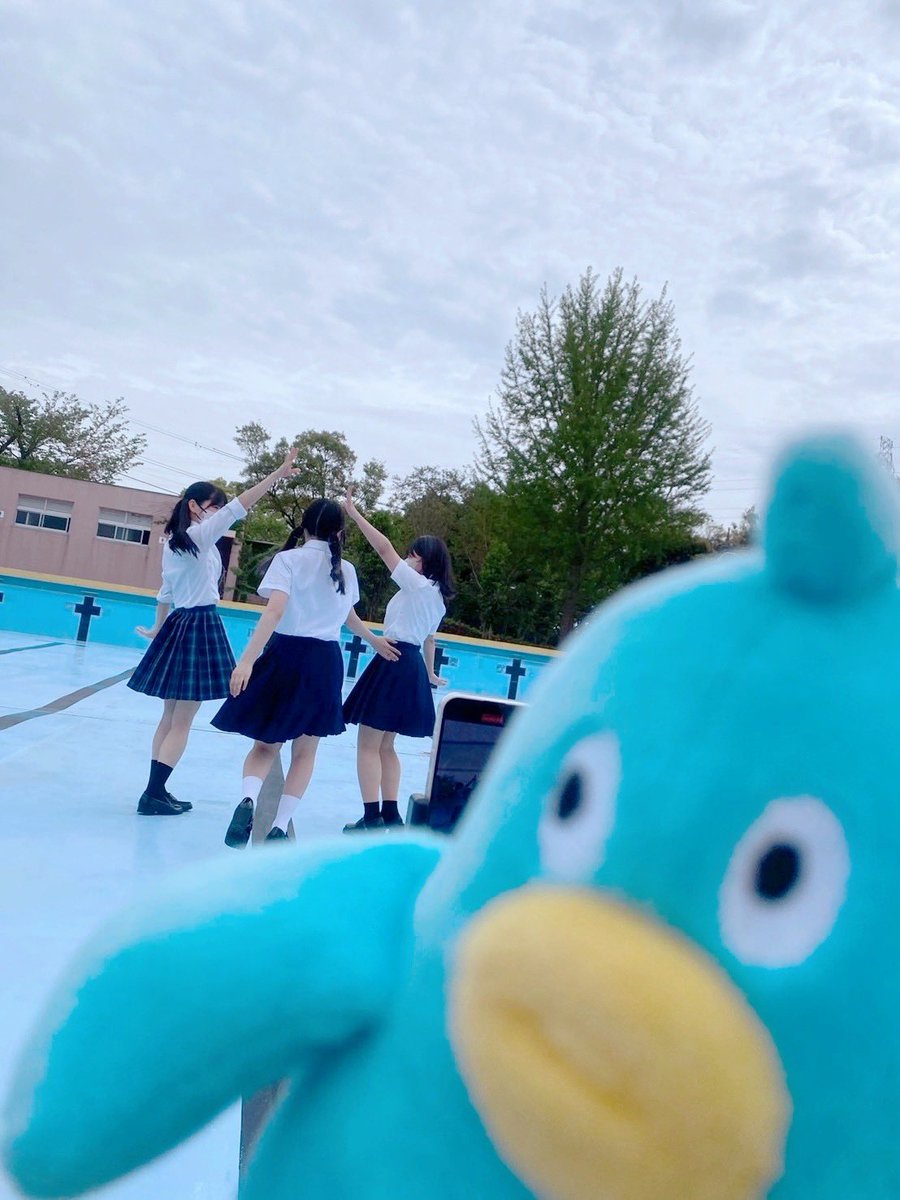 日向坂46 見たことない魔物 #正源司陽子 さんポジションで踊らせて