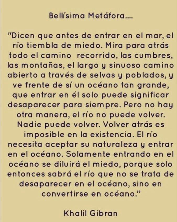 Alejandra Tamayo tweet media