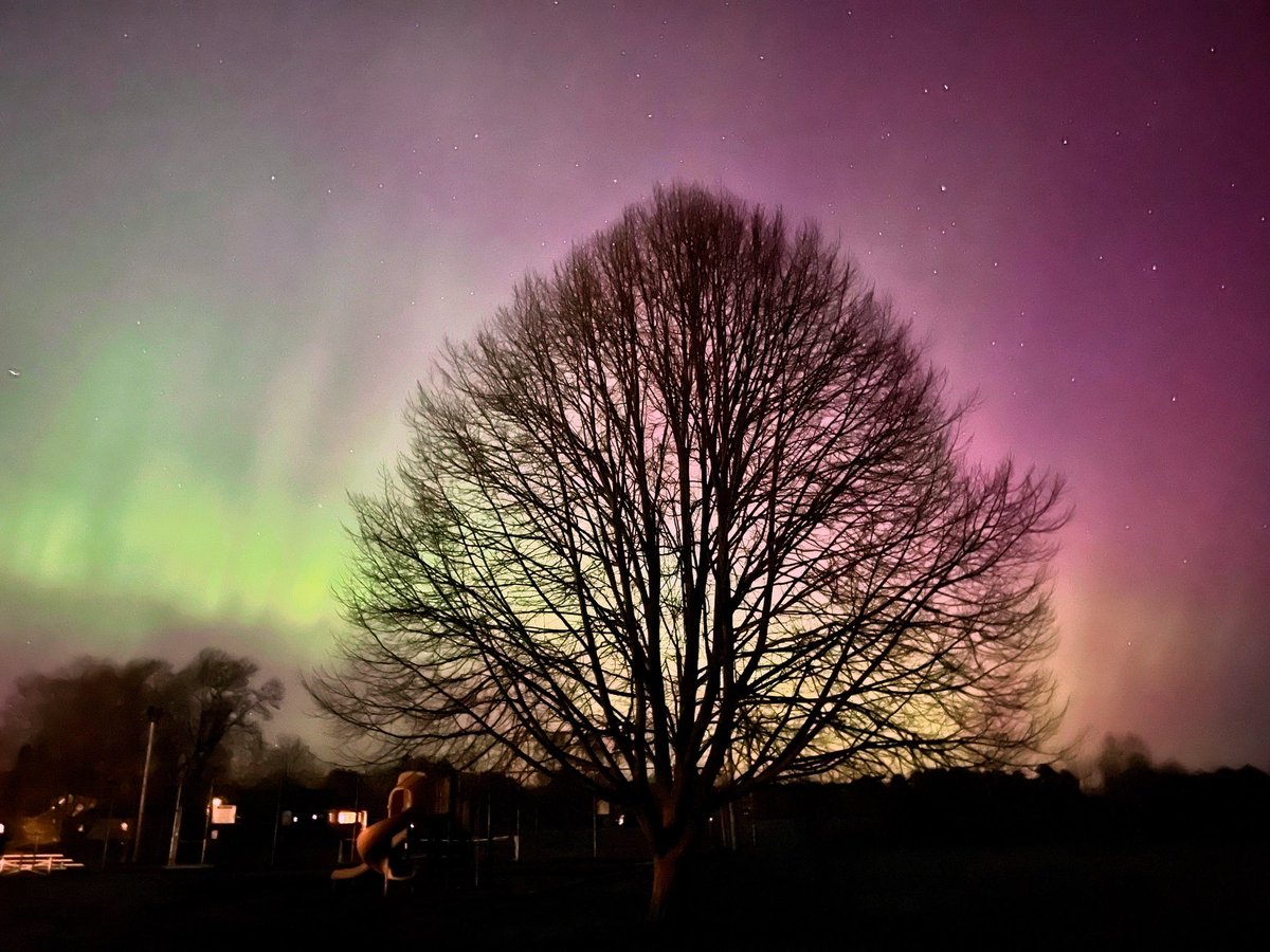 I took this last night here in Falmouth, Maine. This is the tree behind the fire station at Community Parks by the baseball field. #maine #aurora #Auroraborealis