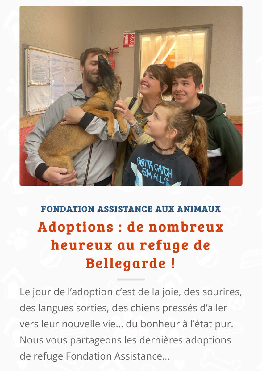 Le jour de l’#adoption c’est de la joie, des sourires, des langues sorties, des chiens pressés d’aller vers leur nouvelle vie… du bonheur à l’état pur. fondationassistanceauxanimaux.org/actu/adoptions…