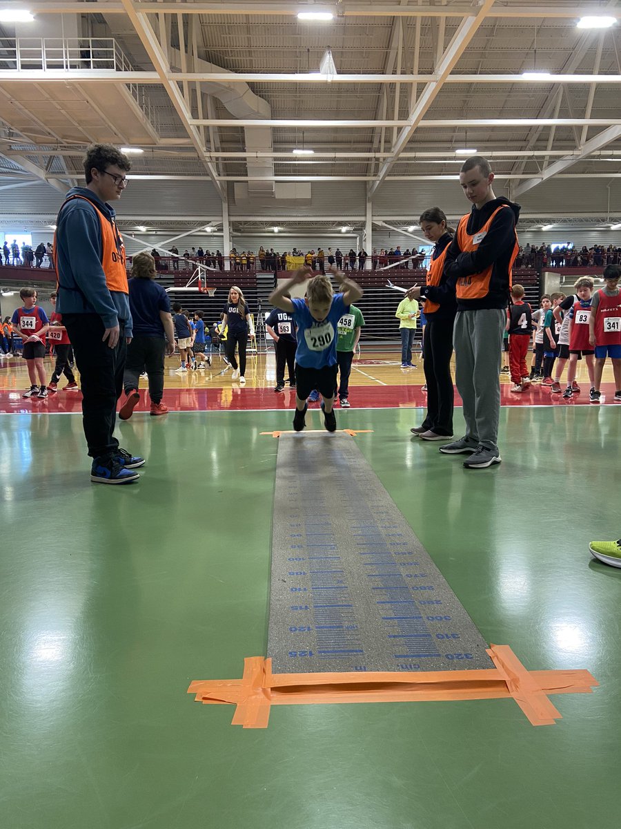 zoe hamilton tweet media