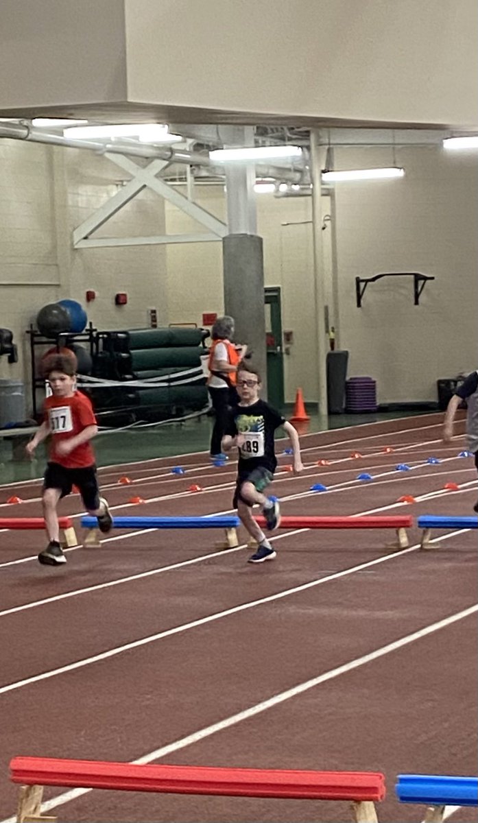 zoe hamilton tweet media