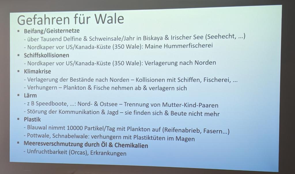 #FedCon bedeutet auch, dass einem eine Andorianerin ganz irdische Meeresforschung nahebringt 🐬

@meertext hat fantastisch Wissenschaftskommunikation an #seaQuest angedockt - sehr humorvoll und an den richtigen Stellen auch ernsthaft mahnend. Vielen Dank dafür 🙏🏼