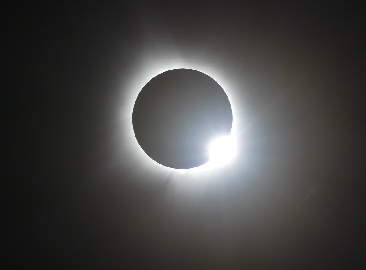 Craig Snell tweet media