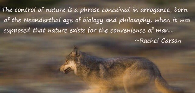 El 'control de la naturaleza' es una frase concebida con arrogancia, nacida en la era neardental de la biología y filosofía, cuando se suponía que la naturaleza existe para la conveniencia del hombre. Rachel Carson (Silent Spring, 1962).