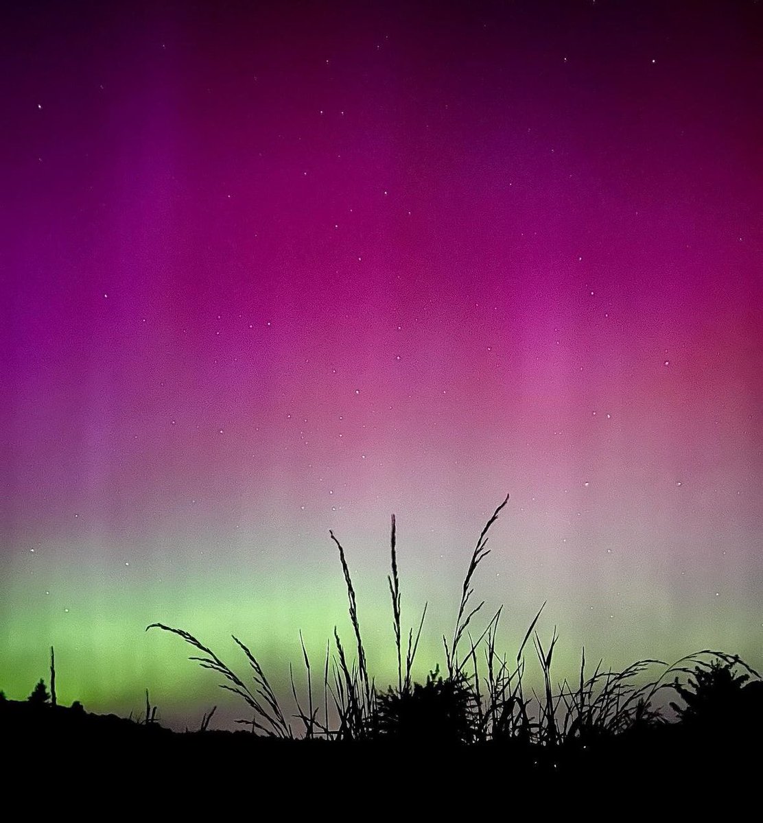 Plan_it_P's tweet photo. 🔮Aurora Borealis🔮 https://t.co/88n2dUOQrB