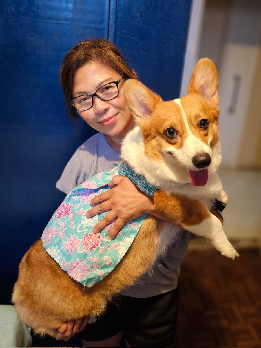 SouthPacCorgis's tweet photo. Hi, Tita Ces! #Peaches https://t.co/cXTGIotvnV