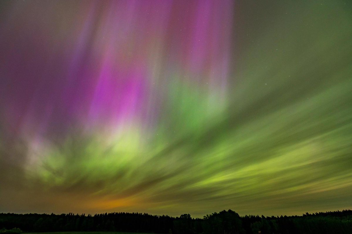 Tej nocy działo się nie tylko w mikrokosmosie w lesie, ale i nad koronami drzew odegrał się piękny spektakl 🌄 #zorzawPolsce