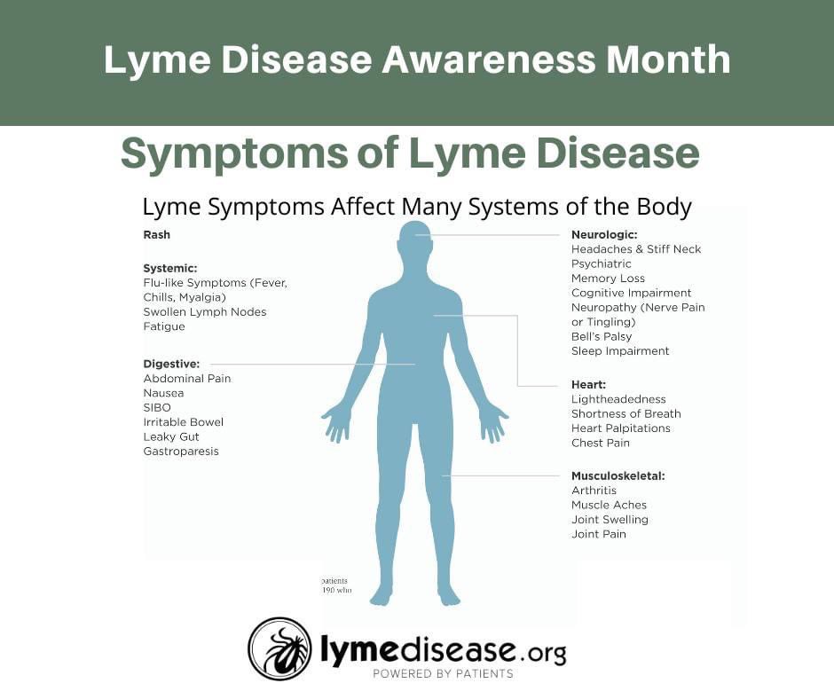 Lyme is called “The Great Imitator,” because its symptoms mimic many other diseases. It can affect any organ of the body, including the brain and nervous system, muscles and joints, and the heart. Learn more: lymedisease.org/lyme-basics/ly…… #LymeDiseaseAwarenessMonth