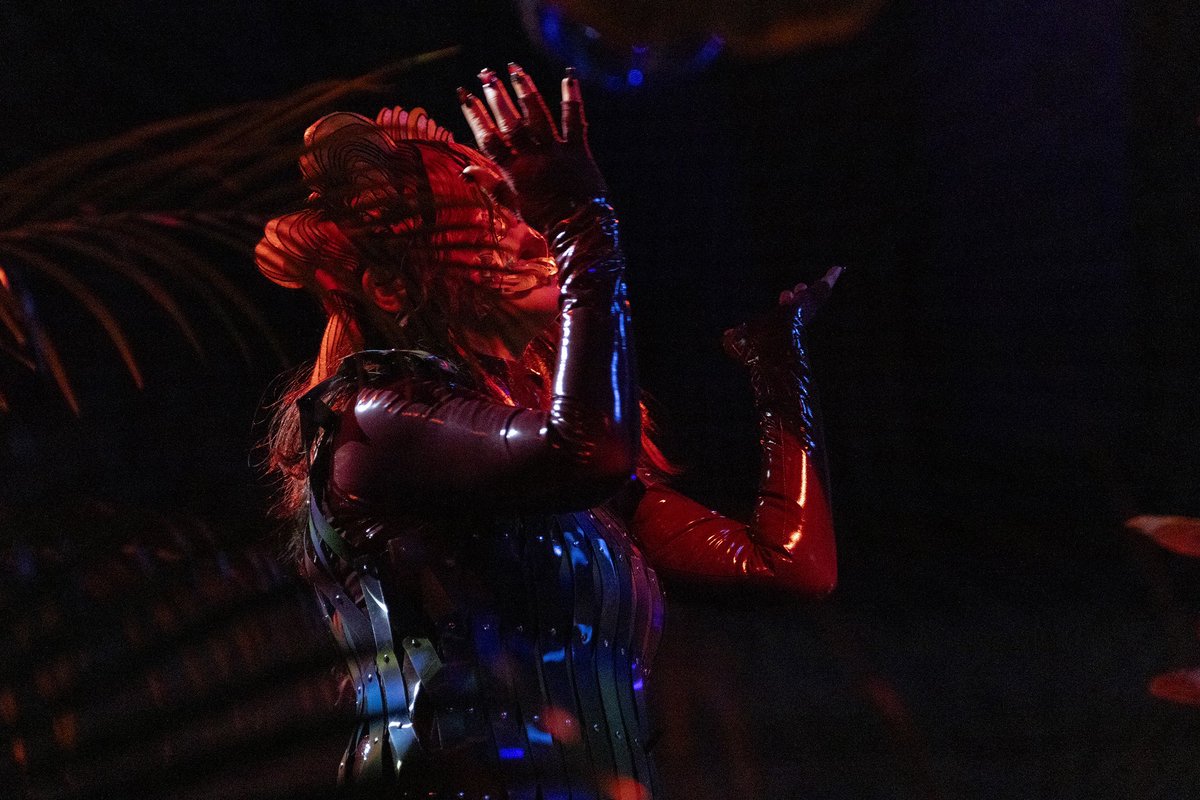 bjork's tweet photo. thank you for last night brooklyn! https://t.co/TyhdmPkvN0