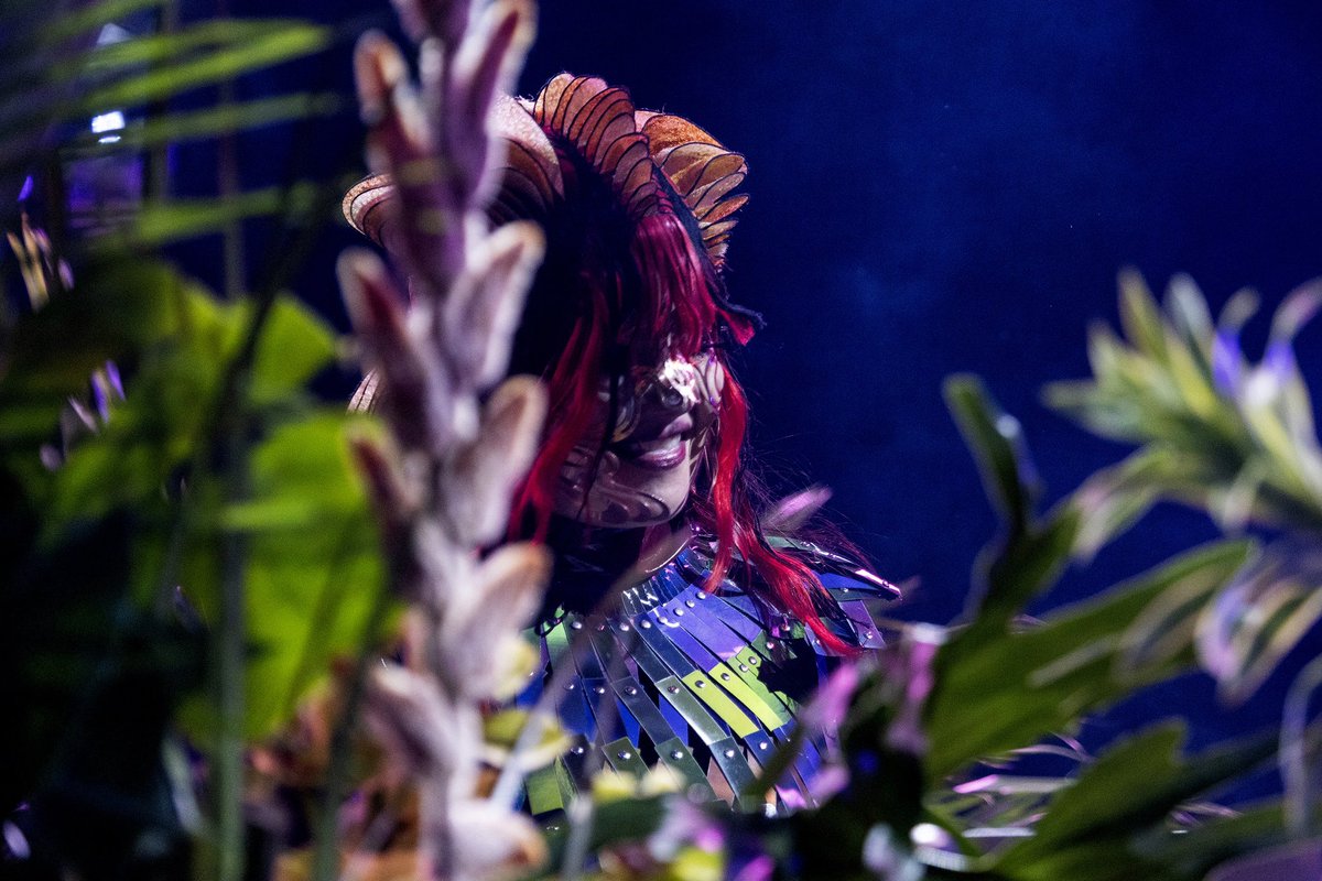 bjork's tweet photo. thank you for last night brooklyn! https://t.co/TyhdmPkvN0