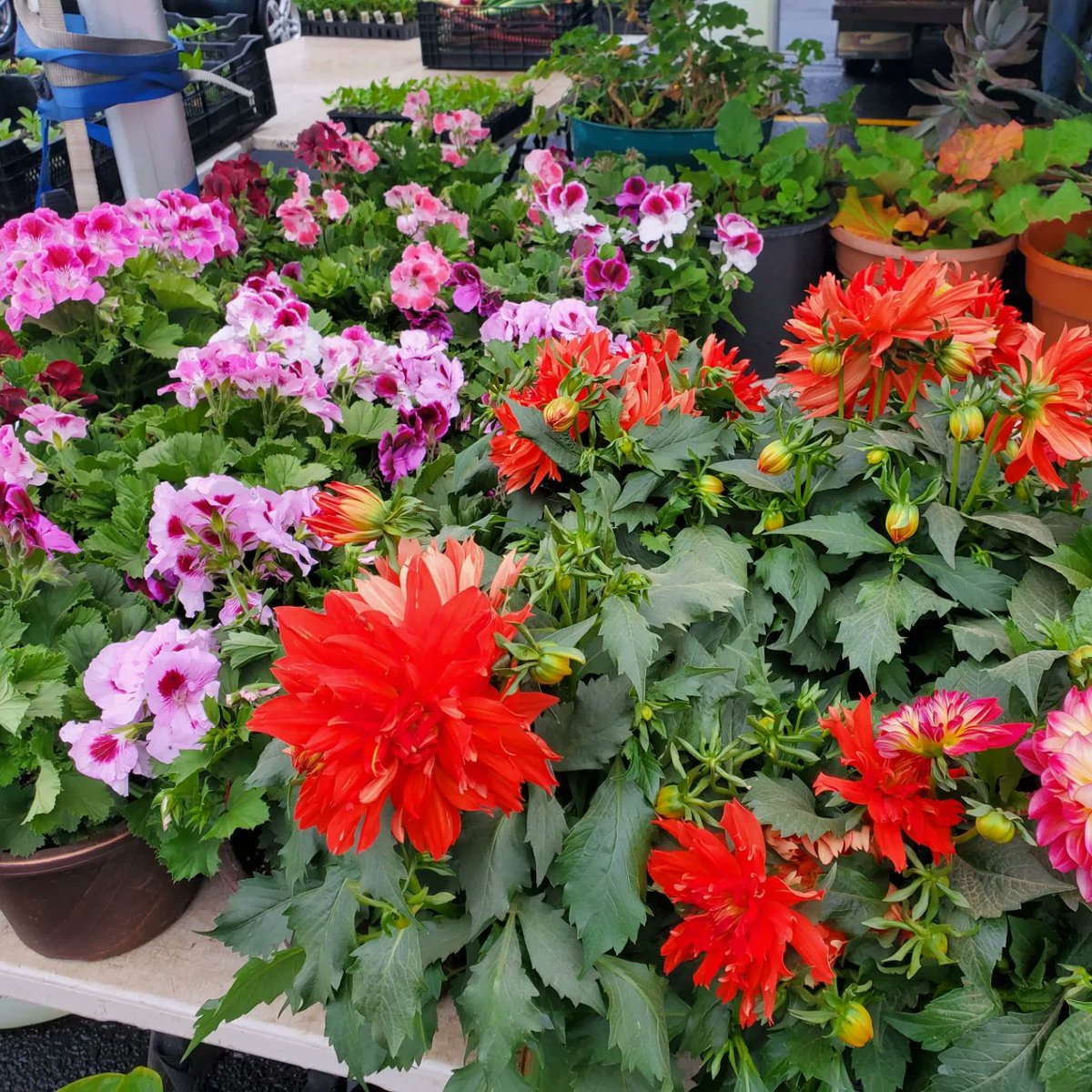 Downtown Port Huron tweet media