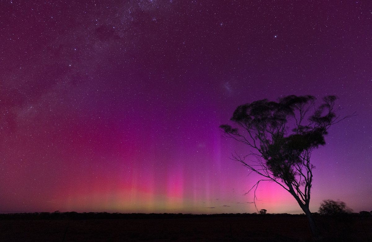 Aurora Australis near Eudunda, South Australia. A dark sky area. @SciNate #aurora