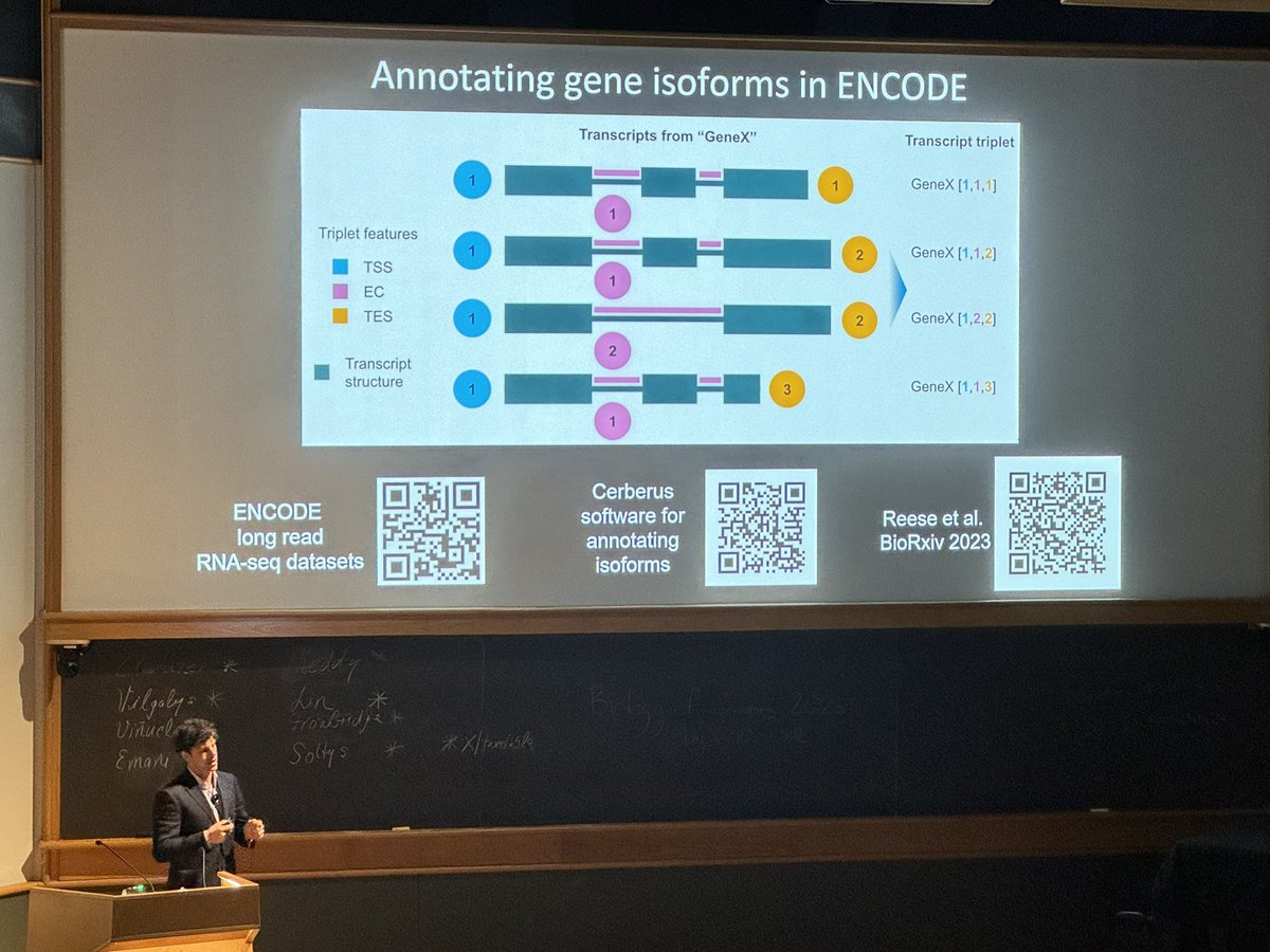 Next we are hearing about #ENCODE4 as the massive #ENCODE 🧬 comes to an end 

Lots of QR codes for access to data & preprints. For example, long read RNA-seq datasets 

#BoG24