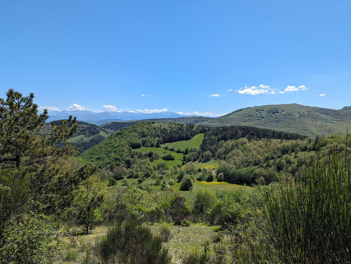 Richard Robinson tweet media