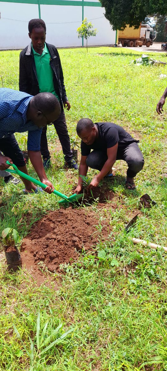 blaskomen7's tweet photo. May our constant efforts today and days to come ,contribute significantly to the realization of our goal 15 billion trees by 2030.🇰🇪✊🏿 #WiththeTeam led by Sir Ogutu @NCPB_KE https://t.co/jCoCYE43cM