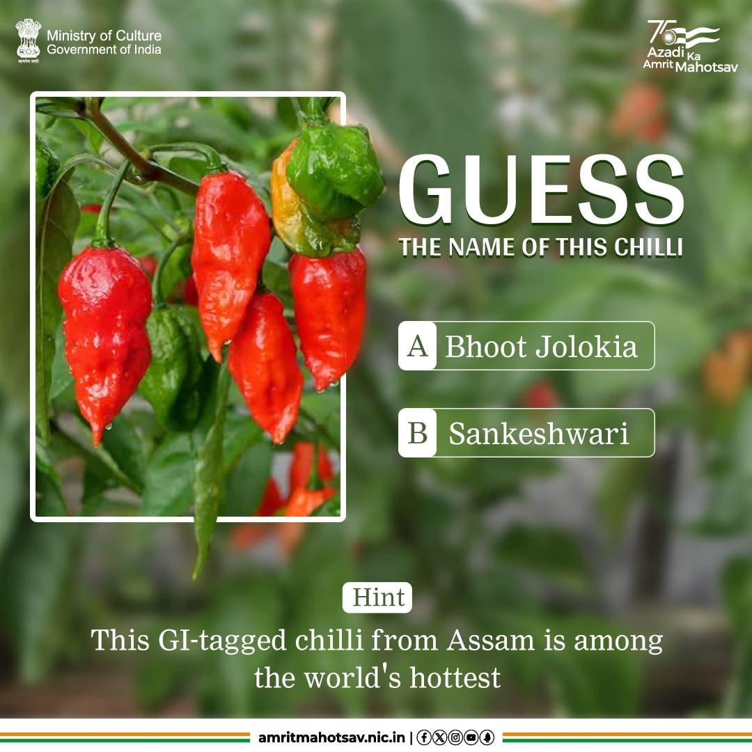 Fire away with your answer in the comment section🌶️👇. Do remember to tag your friends. #AmritMahotsav #BujoTohJaane #GuessAndShare #Quiz #MainBharatHoon