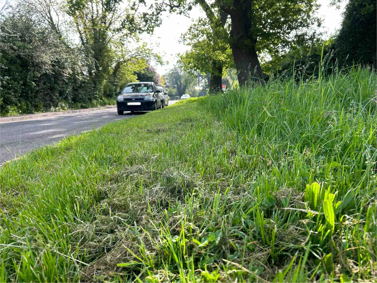 As part of our changes to #NoMowMay this year, we’re mowing an approx. 1 metre strip on highway verges to ensure visibility, while maintaining an area for wildlife and biodiversity. warwickdc.gov.uk/nomowmay