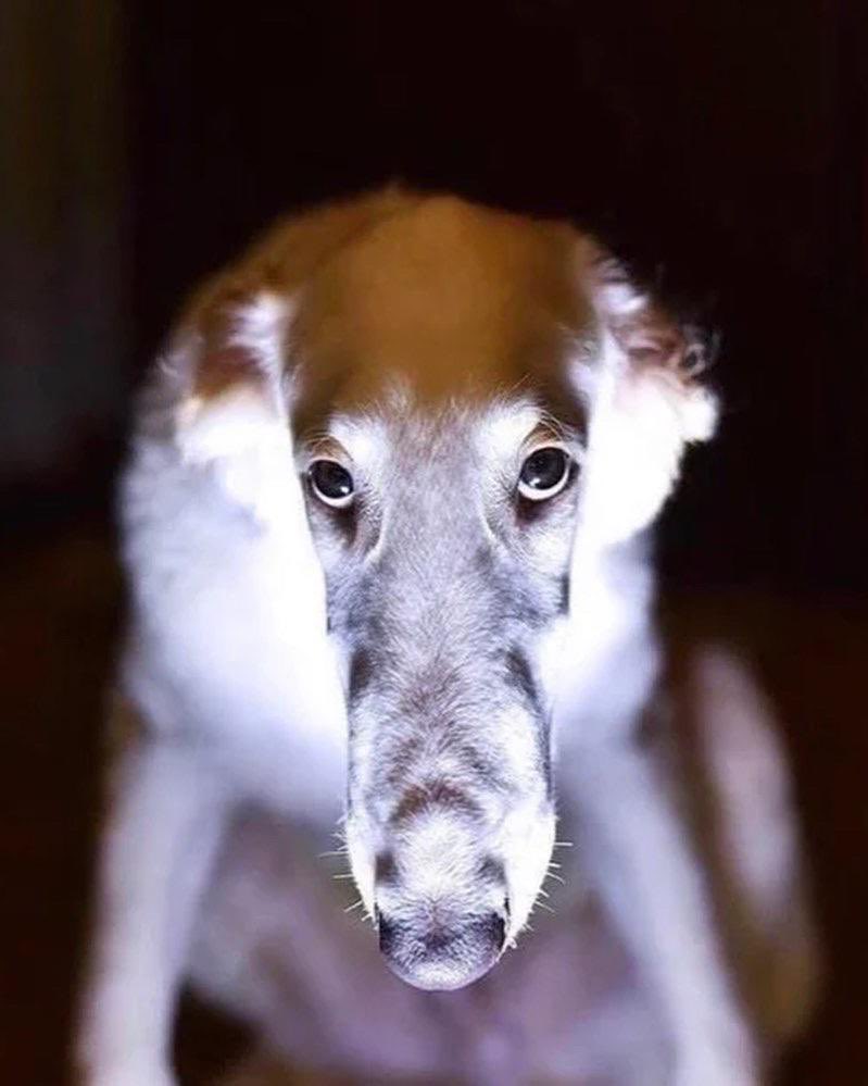 This is what Estinien looks like in a lot of in-game lighting situations