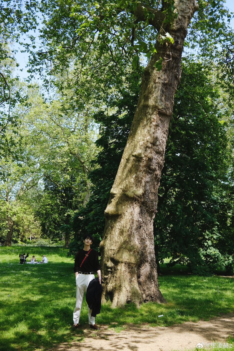 #ZhangLinghe shares new snaps

More - weibo.com/7051114584/503…