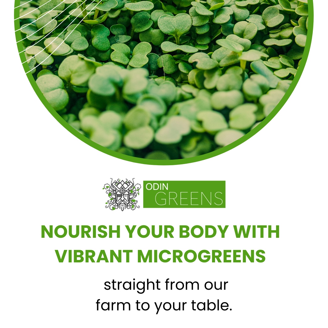 Nourish your body with vibrant microgreens straight from our farm to your table. 

Elevate your dishes and boost your health with our nutrient-packed microgreens! 🌱

#nutritionblogger #igweightloss #nutritionplan #nutritional #nutritionfacts