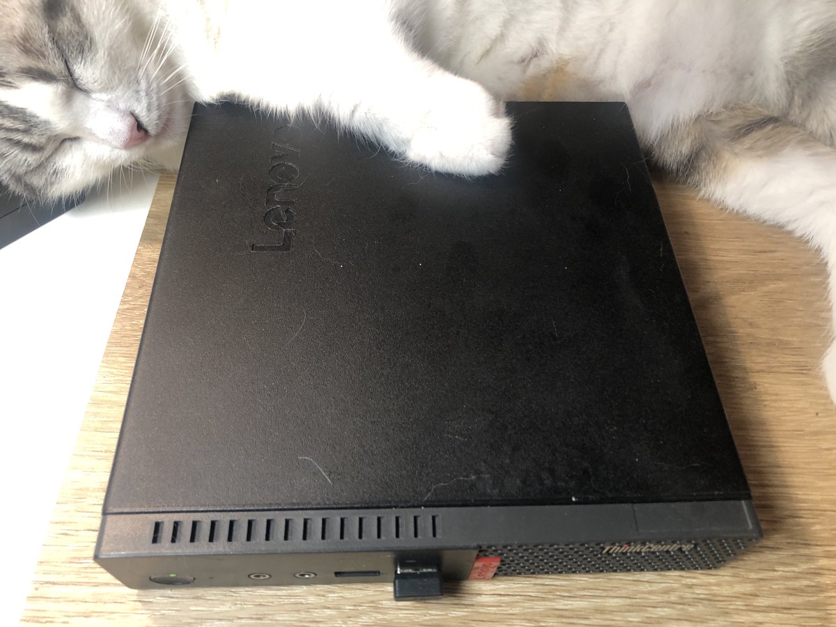 ⁦<a href="/SimonsCat/">Simon's Cat 🐾</a>⁩ Happy Caturday. Bianca is sleeping behind the mini PC, so all the hot air from the CPU fan is blowing directly into her belly fur.