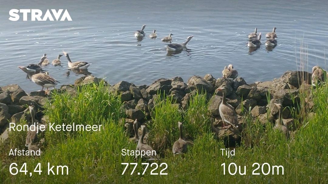 Bekijk mijn activiteit op Strava: strava.app.link/W6461zRXvJb