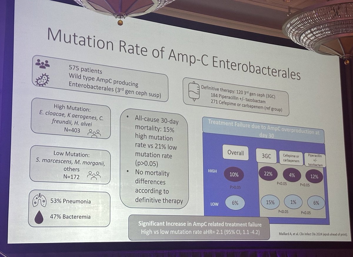 HECK Yes…maybe? @emilylheil & @MandeeNoval discussing the latest data in management of ampC producing Enterobacterales! 🦠🧐#MADID2024