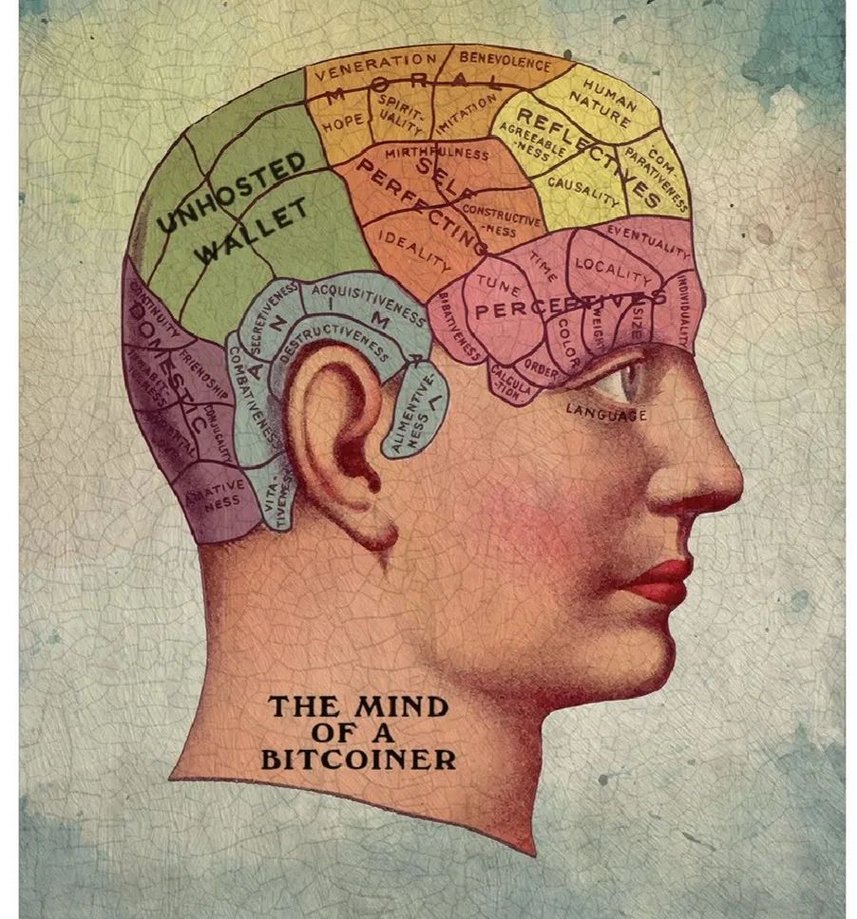 HodlThatBitcoin tweet media