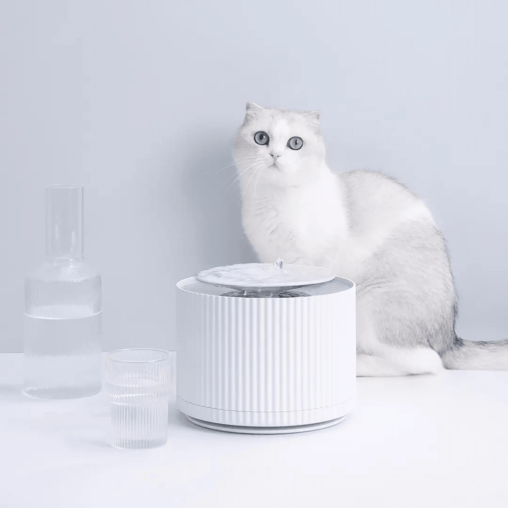 Quench your furry friend's thirst with the FURRYTAIL Smart Cat Pet Water Dispenser! 🐾💧 5-layer filtration, quiet operation, & 1.88L capacity. Perfect for busy pet parents. Get yours with FREE shipping here: shortlink.store/rseqaq5kou13 #CatCare #PetHydration