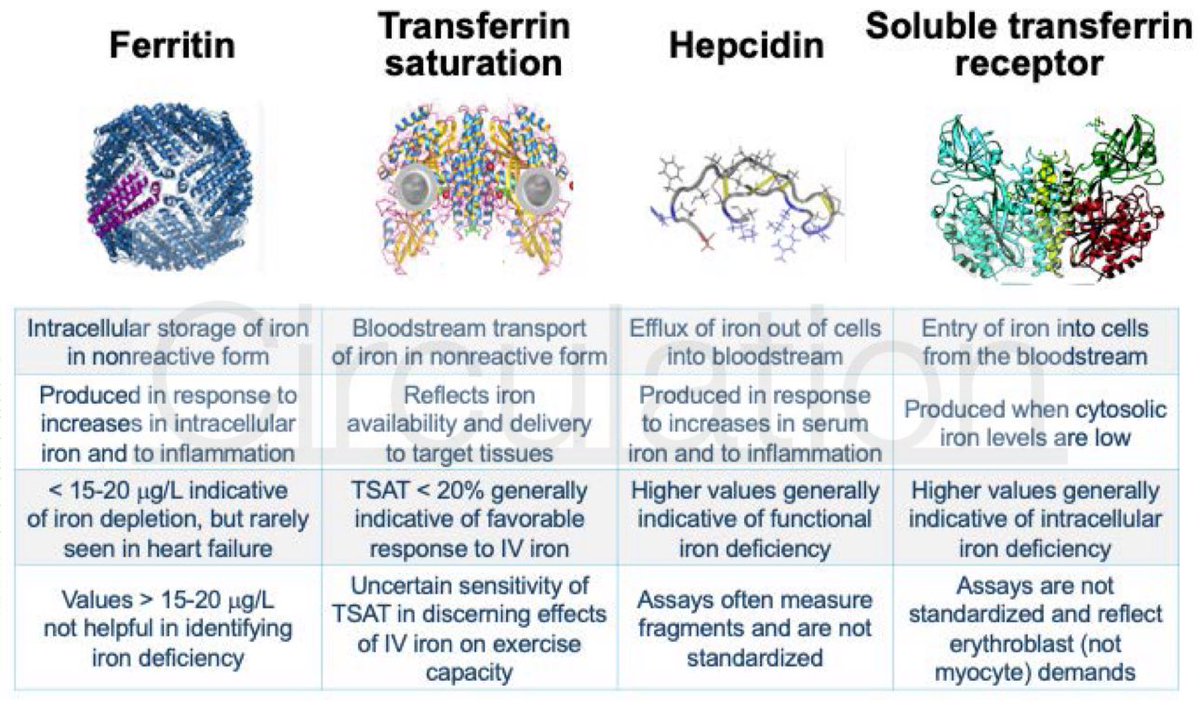 ⚠️Redefining Iron Deficiency in Patients With Chronic Heart Failure via <a href="/CircAHA/">Circulation</a>  #Heartfailure2024 

👉👉 current ferritin-driven definition of iron deficiency in #HF should be abandoned and that a definition based on hypoferremia (TSAT &lt; 20%) should be adopted 

📁