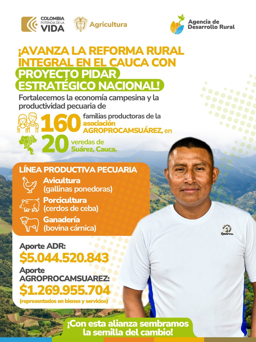 ¡En el #Cauca avanza la Reforma Rural Integral!✊🏽 Con proyecto PIDAR Estratégico Nacional la @ADR_Colombia, del @MinAgricultura, promueve la seguridad y soberanía alimentaria en el territorio. Se fortalecen la producción pecuaria, la comercialización y la asistencia técnica.