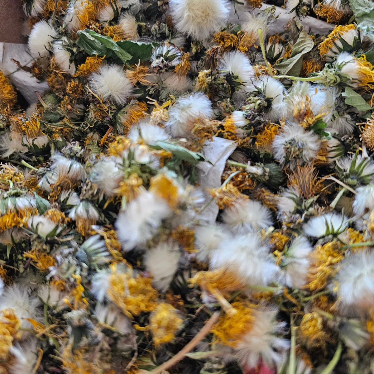 SIRIRI Turismo Rural tweet media