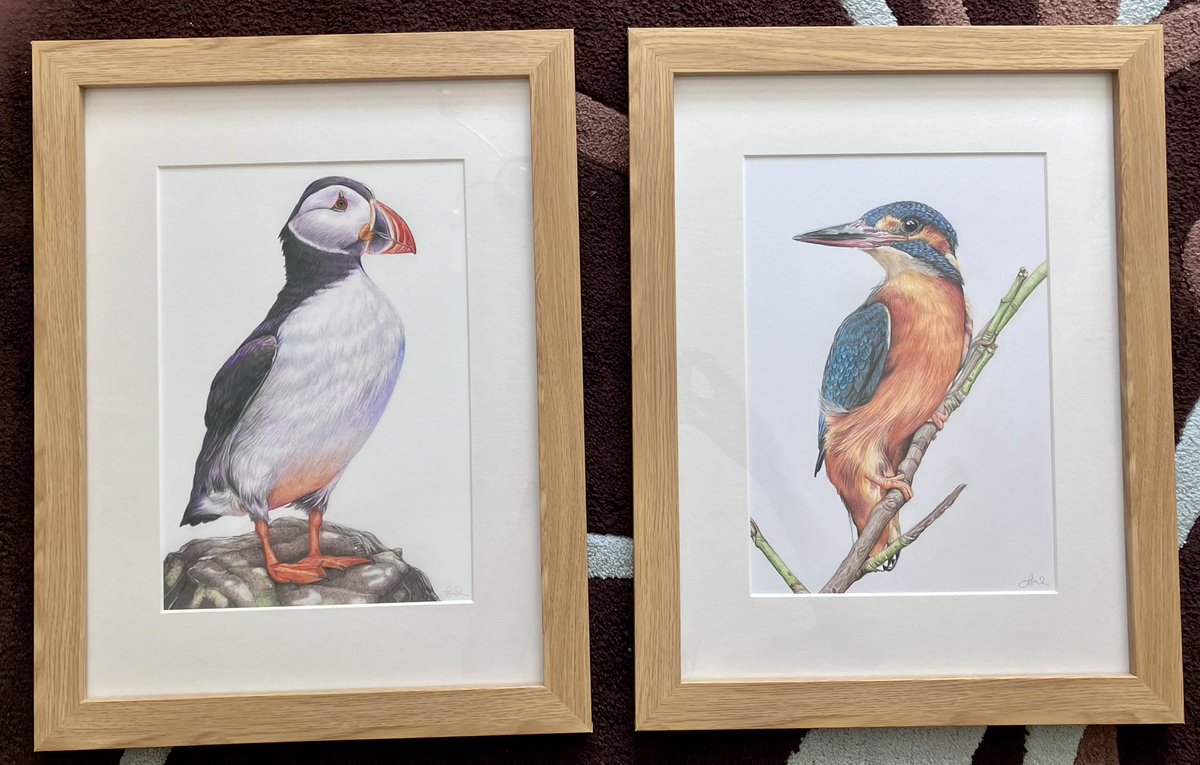 And a couple more framed.#art #drawing #wildlife #colouredpencilart