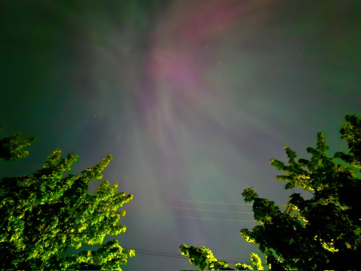 Hanneke Weitering tweet media