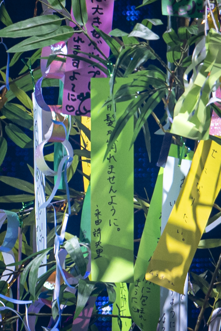 前髪が崩れませんように。
　　　　　　　　　　　　永田詩央里