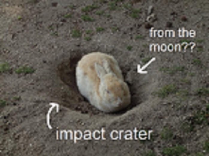 themouseyouknow's tweet image. Must look into this