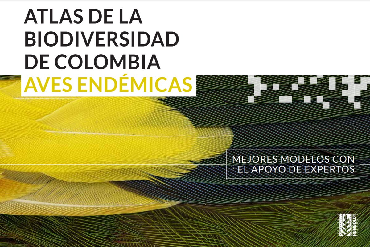 🐦🦅🦜 En este #GlobalBigDay consulta los mapas de las aves endémicas de 🇨🇴 generados a partir de #DatosAbiertos de <a href="/Team_eBird/">eBird</a> y <a href="/GBIF/">GBIF @biodiversity.social/@gbif</a>. Un ejemplo de #UsoDeDatos. Descarga en 👉🏽 biomodelos.humboldt.org.co/atlas/AvesEnde…